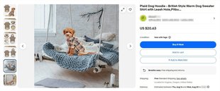 37. dog hoodie.jpg